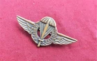 Italian WWII RSI Para 1st Tactical Group badge 1943/45
