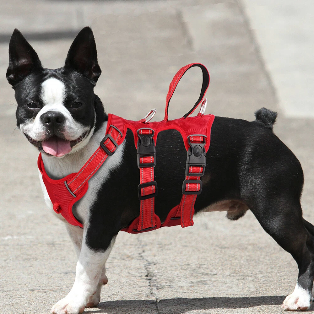 Dog Harness with Handle No Pull Escape Proof Reflective Nylon Front Leading M-XL