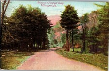 Entrance to Mosquito Valley, Williamsport PA c1910 Vintage Postcard F56