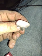 australian opal ring