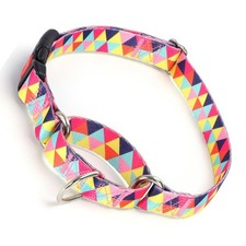 Martingale Collar for Dogs with Buckle, Quick Release snap Clip with Lock Ant...