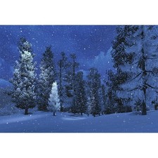 5x3ft Winter Snowy Night Backdrop - Pine Trees, Snowfall Photography Background