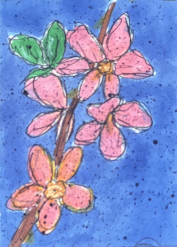 Delaware State Flower - Peach Blossom ACEO