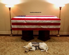 PRESIDENT GEORGE H.W. BUSH Photo 8.5x11 Sully His Service Dog Casket Memorabilia