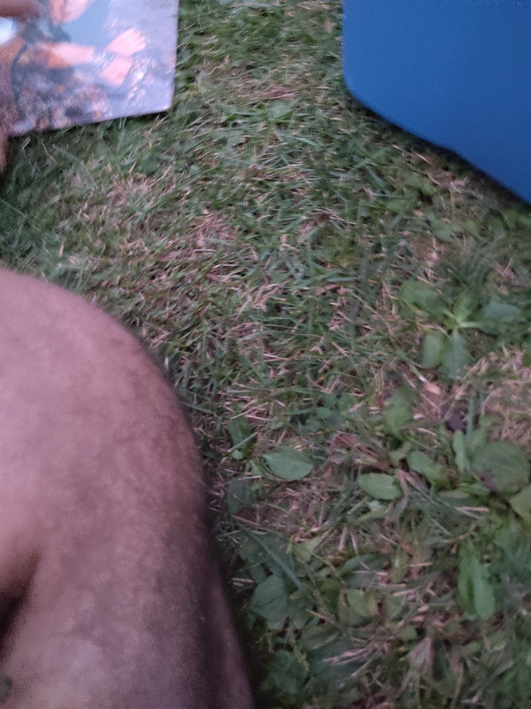 Picture 4 of 11