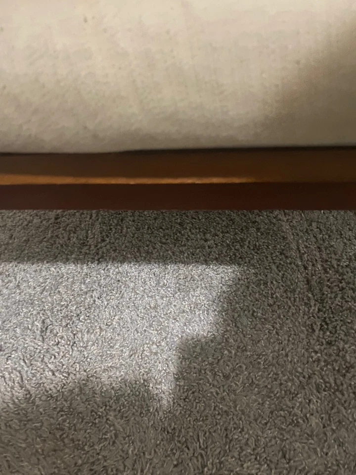 Sillón MCM Niels Eilersen cojines originales teca camioneta danesa Georgia EE. UU. Foto 3 de 4