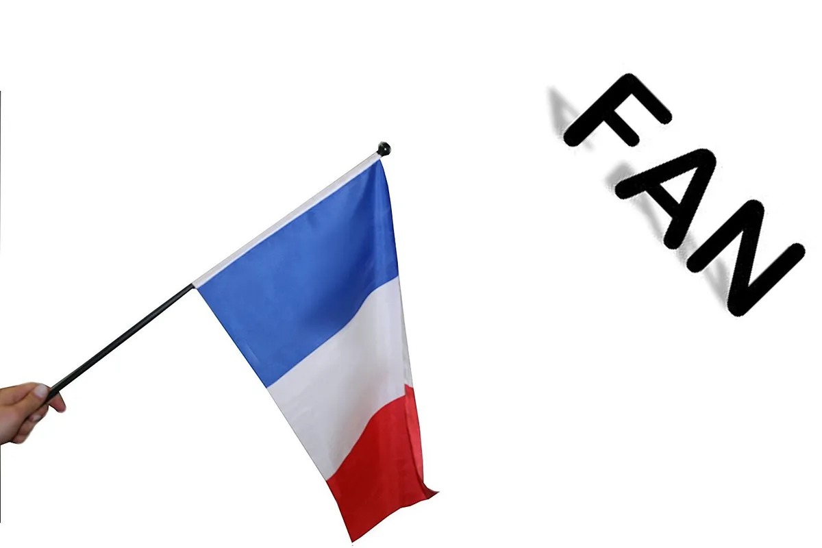 Flagge Frankreich 30 x 45 cm France Fahne Fahnen Flaggen WM EM Fußball  123419913 | eBay