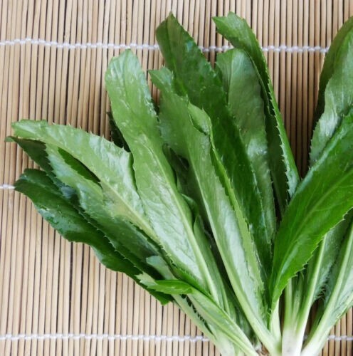 500+ Culantro dried, Long Coriander / Culantro (Eryngium foetidum) Leaves - Picture 1 of 9