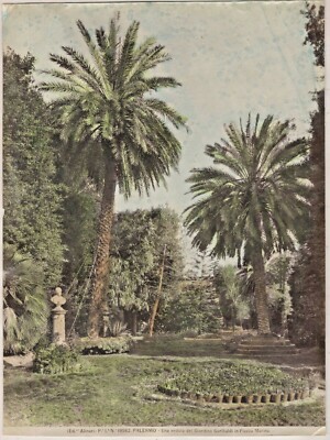 Sehr alte Original Photographie  PALERMO - Una veduta del Giardini Garibaldi  