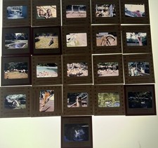 Lots Of 21 Kodachrome Transparencies Slides Zoo Animals From July 1959