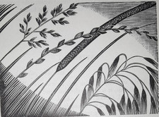 OLDHAM GRASS GRASSES Print Woodcut by Claire C1940s