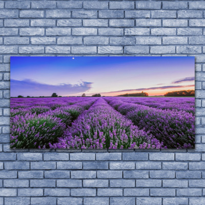 Acrylglasbilder Wandbilder Druck 140x70 Wiese Blumen Natur