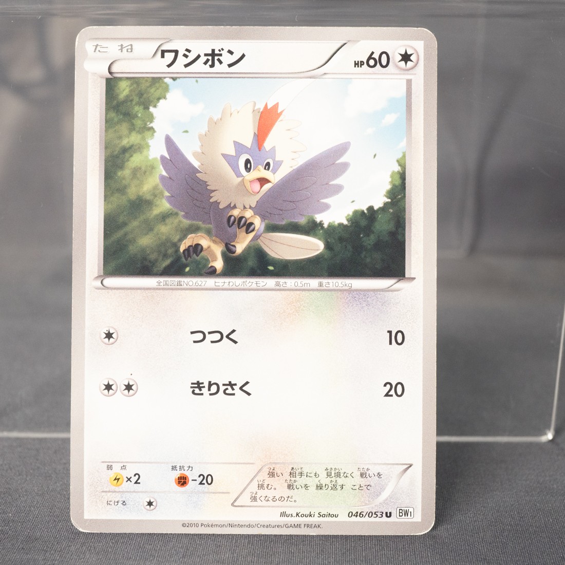 [MP] Rufflet 046/053  Pokemon Card TCG Japanese