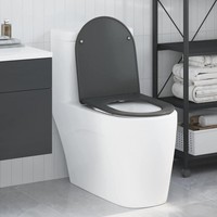 Toilettensitz Anthrazit 47 X 36 X 3,4 Cm Duroplast