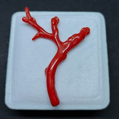 Natural Italy Red Coral Polished Branch Stick Loose Gemstone Mediterranean Raw.