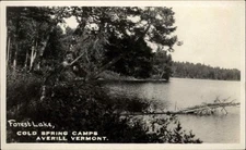 Averill VT Forest Lake Cold Spring Camps 1900s-20s Real Photo Vintage Postcard