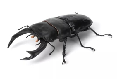 Bandai Namco Dangomushi 9 Japan Hope's Stag Beetle Figure | eBay