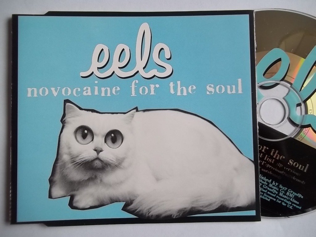 Eels Novocaine for the Soul (CD)