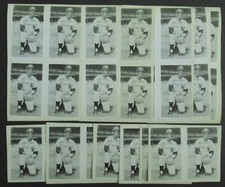 Al Downing New York Yankees Requena B&W Postcard UNCUT Sheet, 68 Postcards