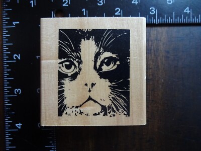 CLOSE-UP OF CAT FACE Portrait Rubber Stamp by ANITAS