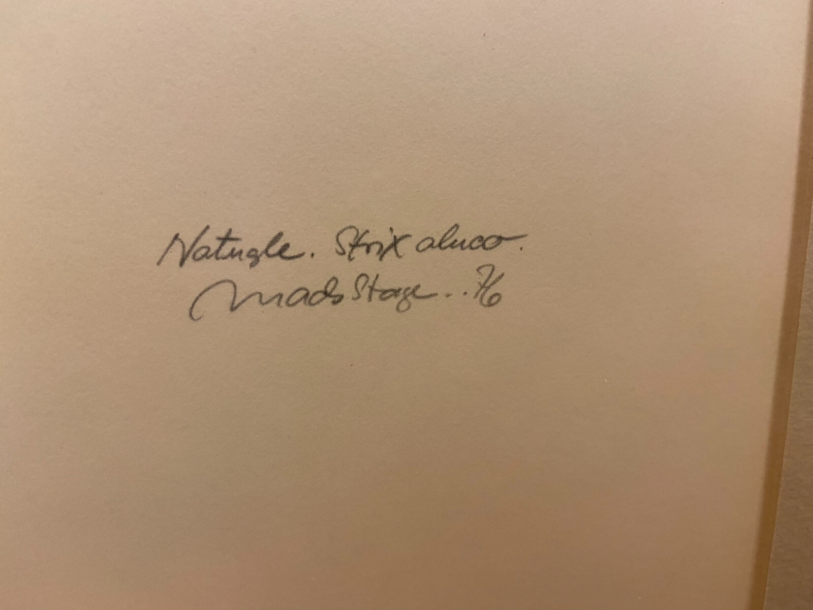 Masterpiece Collection of Belart Kenyon Minnesota Tawny Owl Picture 1978 eBay