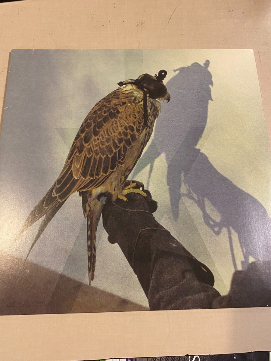 米LP Iceage Youre Nothing OLE10091 Matador /00260 You're Nothing Vinyl Record LP By Iceage 2013 Matador