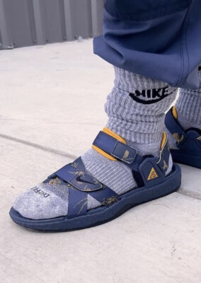 acg air deschutz nike