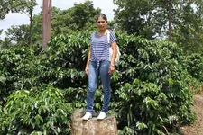 COLOMBIAN SUPREMO COFFEE BEANS MEDIUM ROASTED 5 POUNDS IN 1 POUND BAGS