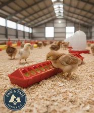 Little Giant 20" Plastic Flip-Top Poultry Ground Feeder, Red Chickens Bird 2PCK