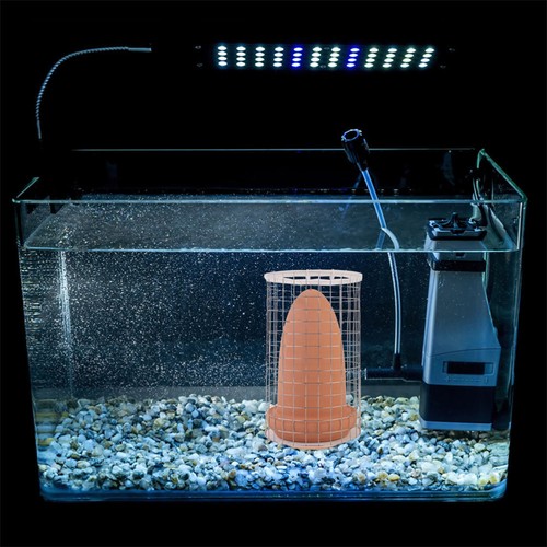 Angel Fish Breeding Discus Cones Spawning Bucket Baby - Picture 3 of 12
