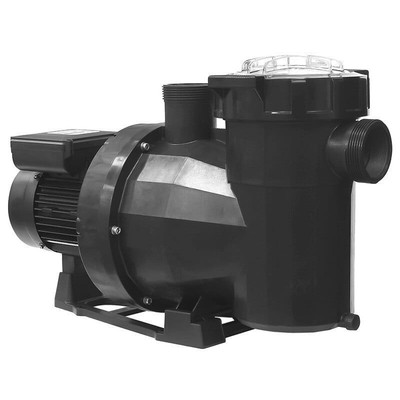 Poolpumpe Victoria Plus Silent 200M Einphasig 230V Pumpe 2PS Astralpool