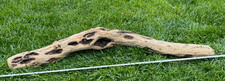 Large Natural Driftwood for Fish Reptile Aquariums, Crafts, Decor 40x7x6