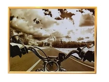 Limited edition exclusive hanging painting,  relief home decoration painting