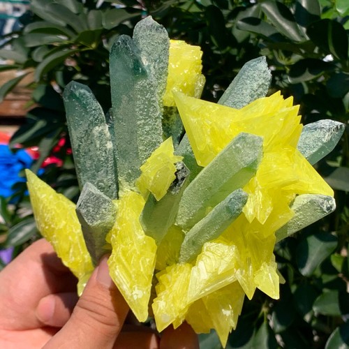 2.4LB New Find Green Phantom Quartz with Yellow sulfur Cluster Mineral Specimen - Picture 8 of 15
