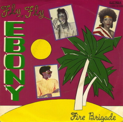 Ebony Fly, Fly Vinyl Single 7inch NEAR MINT EMI Electrola
