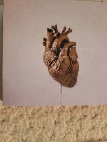 BETHEL MUSIC YOU MAKE ME BRAVE LIVE AT THE CIVIC 2 DISC CD/DVD & Have IT All 2CD - Picture 11 of 19
