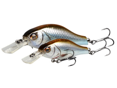 Lot De Leurres Crankbait Et Jerkbait Pour Truite - NEUF (sans Marque)