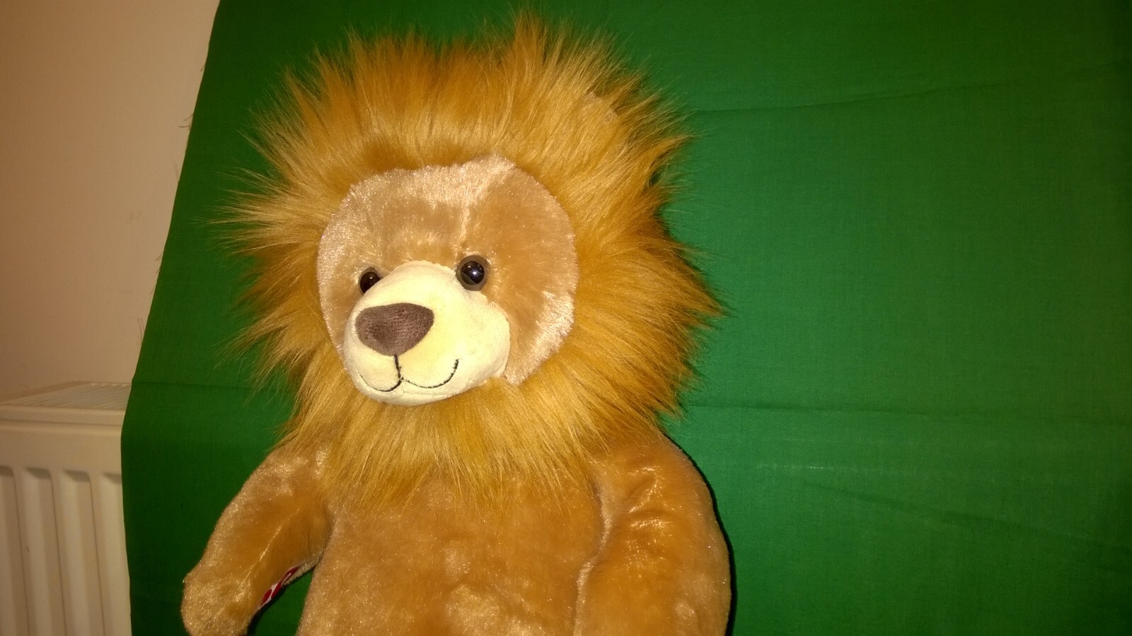 Picture 5 of 21