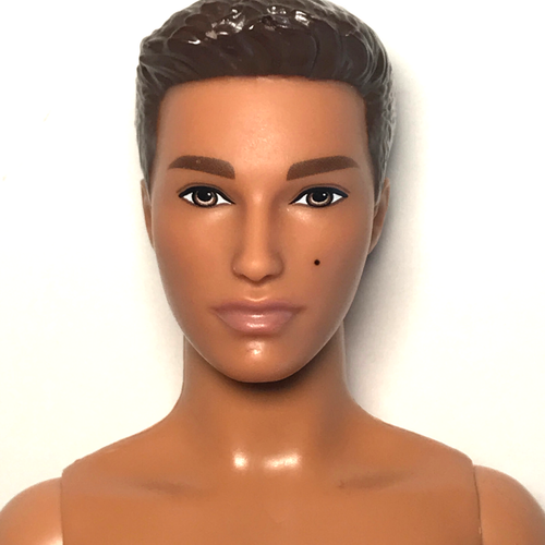 Nude Barbie Fashionistas #17 Cali Cool Brunette Ryan Ken FJF75 Doll For OOAK