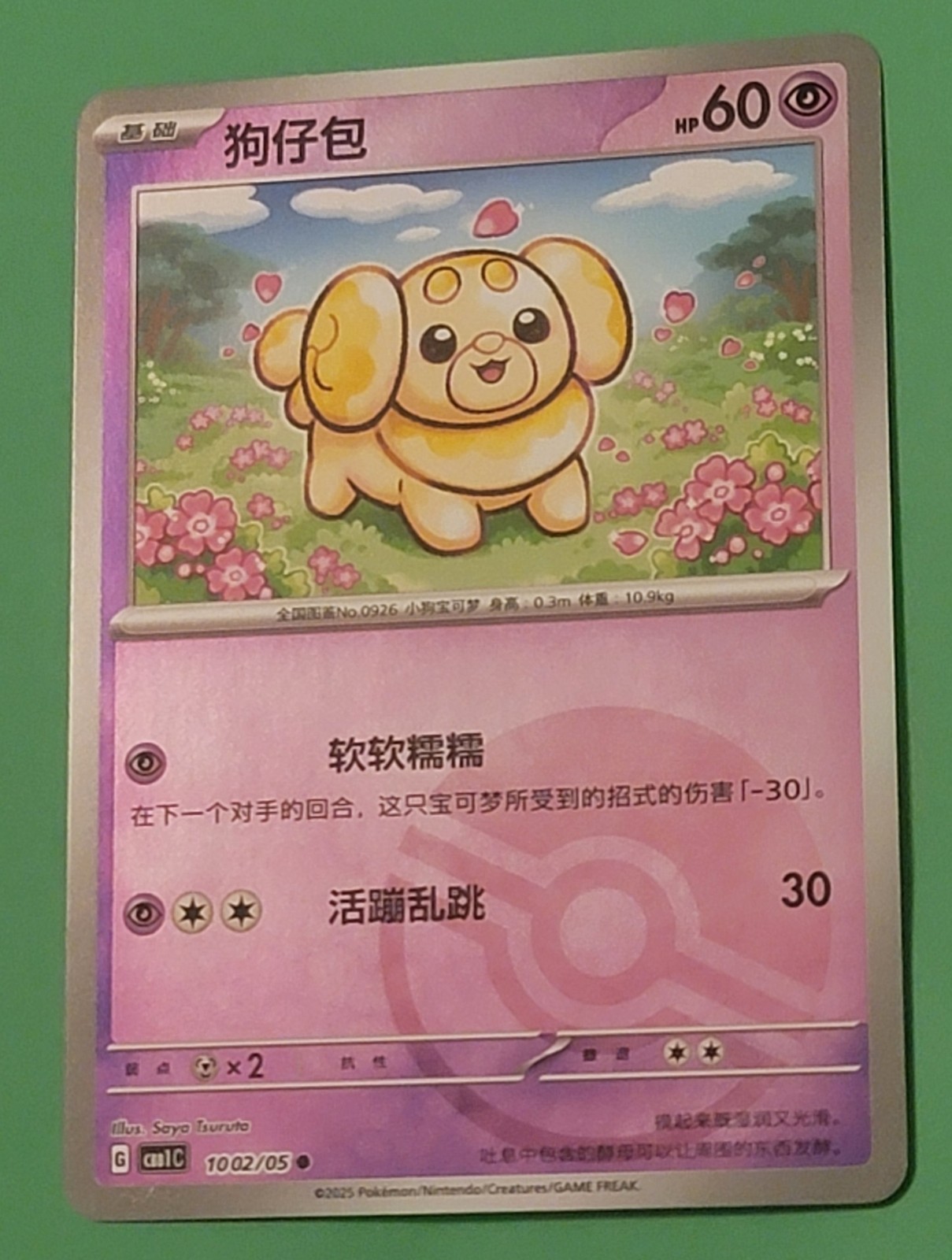 Fidough 1002/05 Poke Ball Holo - CBB1C  - Pokemon TCG Chinese