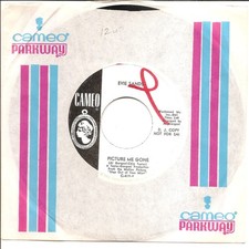 EVIE SANDS * PICTURE ME GONE * DJ COPY * UNPLAYED COPY * Ex Condition