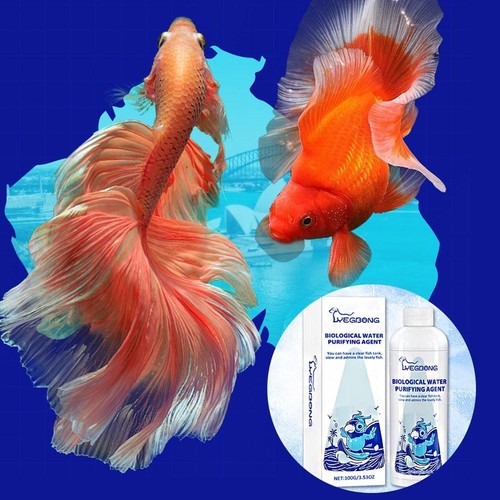 Aquarium Cleaner Algae Remover Algaecide Powder For Fish Pur Tank Water V9I9 - Picture 11 of 13