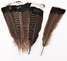 "12Pcs Natural Color Wild Turkey Tails Feathers 10-12Inch for DIY Crafts Home We