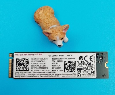 Lenovo 512GB NVMe PCIe M.2 2280 Solid State Drive SSD SSS0L25217