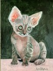LYNN TAYLOR Oil Painting Devon Rex Cat Animal ORIGINAL 8 X 6