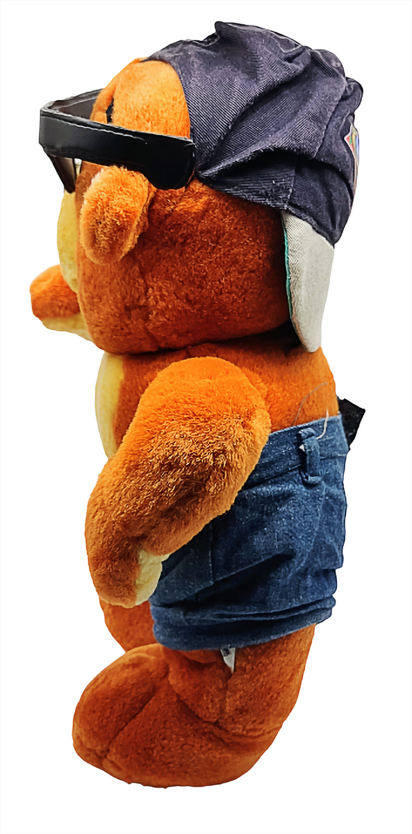 1990年製 ビーチボーイズ マスコットベア C Bear And Jamal Teddy Bear Children Toy Tone Hip Hop 90s