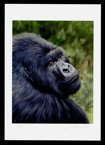 DAVID STRIBLING Wildlife Art Hand Signed Numbered Lithograph Gorilla - #7/25 - 第 1/3 張圖片