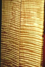BEST AROUND 50 BOARDFEET HEAVY FIGURE QUILTED 7" W TIGER CURLY MAPLE LUMBER