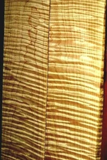 AWESOME & RARE! 50 BOARDFEET HEAVY FIGURE QUILTED 7"+W TIGER CURLY MAPLE LUMBER