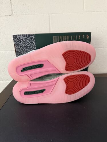 Size 10 - Air Jordan 3 Retro Wings Missing Lid - Picture 4 of 5